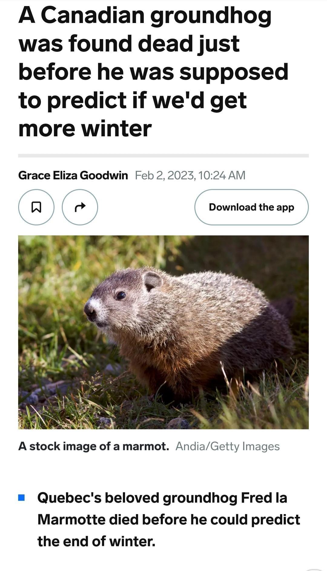 A Canadian groundhog was found dead just before he was supposed to predict if wed get more winter Grace Eliza Goodwin Feb 220231024 AM R e Download the app Astock image of amarmot AndiaGetty Images Quebecs beloved groundhog Fred la Marmotte died before he could predict the end of winter