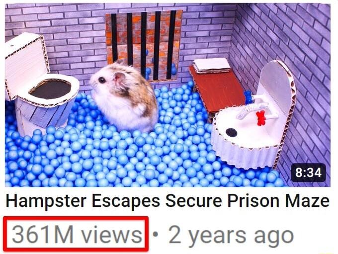 Hampster Escapes Secure Prison Maze 361M views 2 years ago