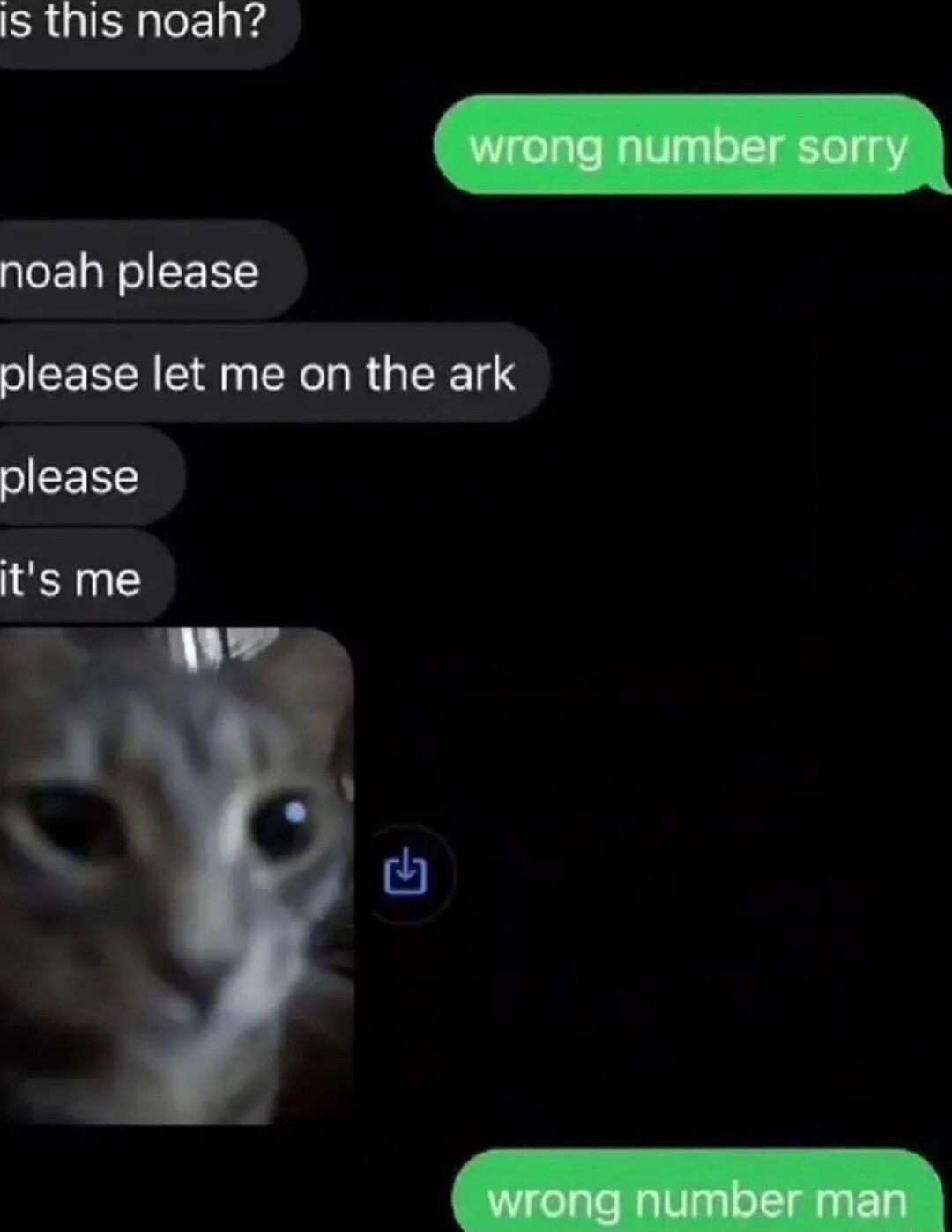 s this noah noah please please let me on the ark please its me