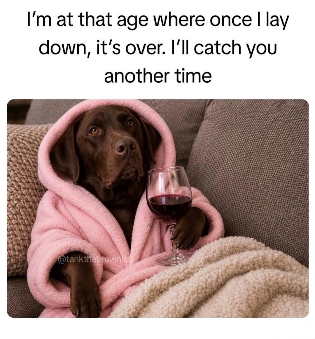 I'm at that age where once I lay down, it's over. I'll catch you another time. @tankthebrownlab