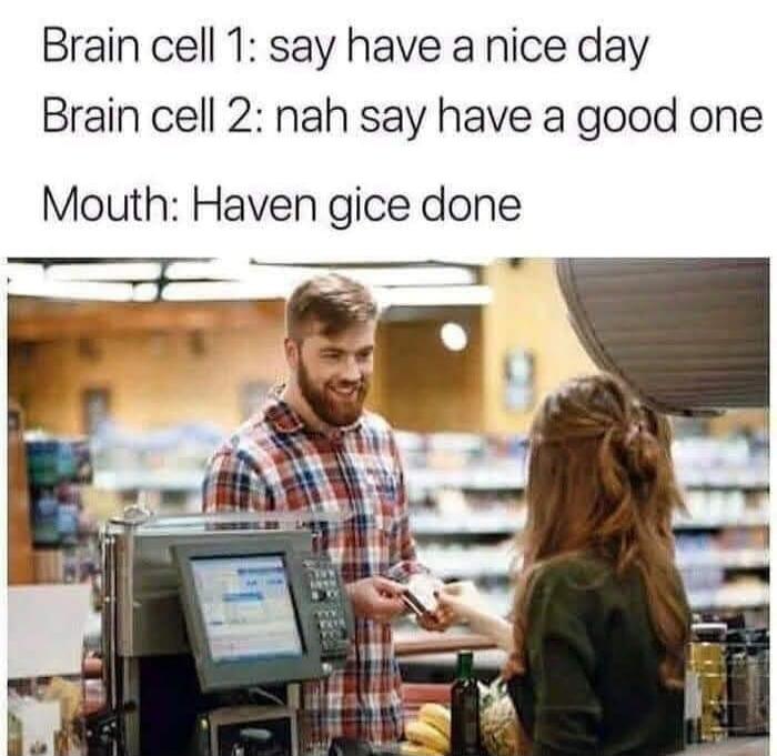 Brain cell 1: say have a nice day Brain cell 2: nah say have a good one Mouth: Haven gice done