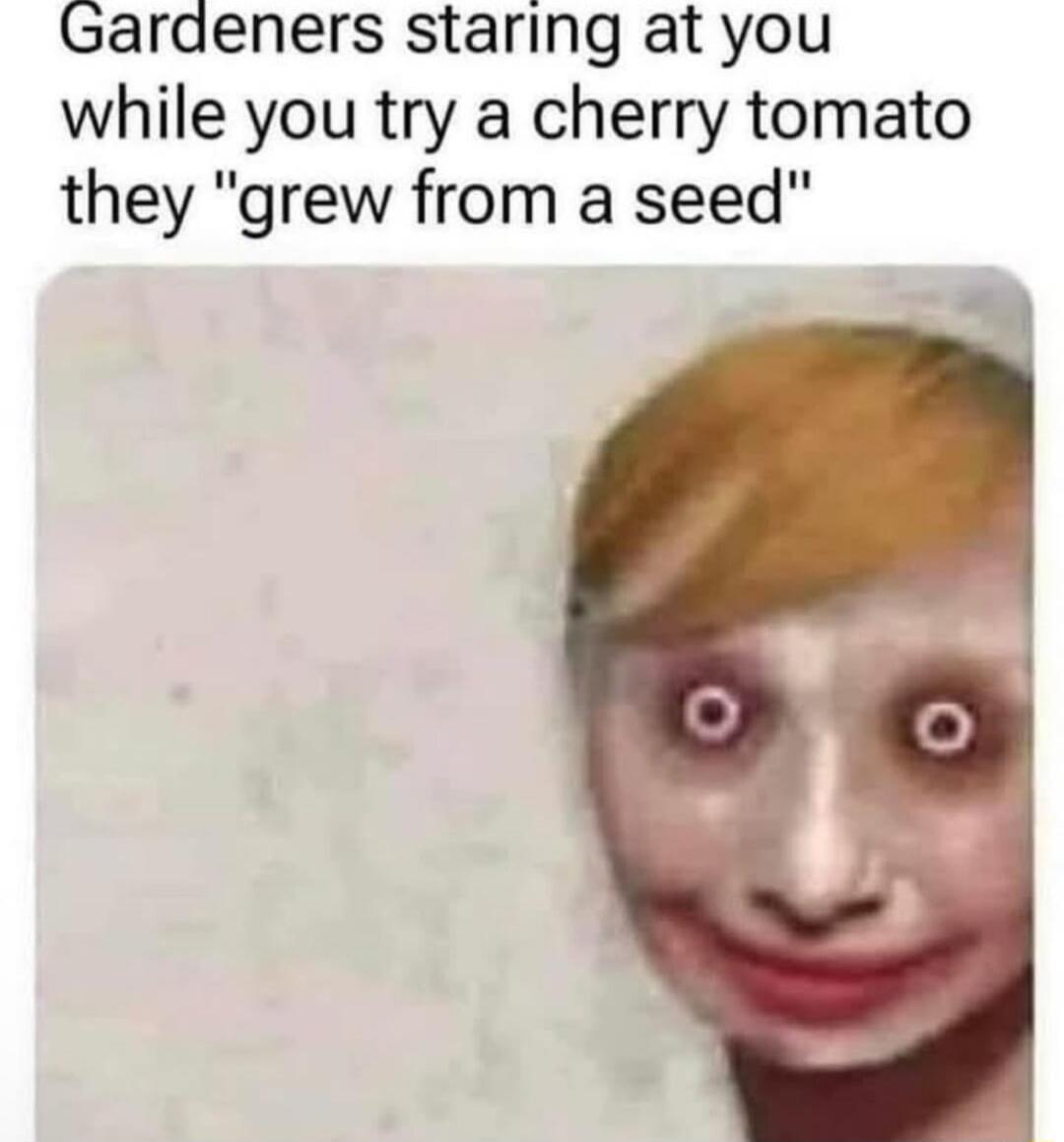Garaeners staring at you while you try a cherry tomato they grew from a seed