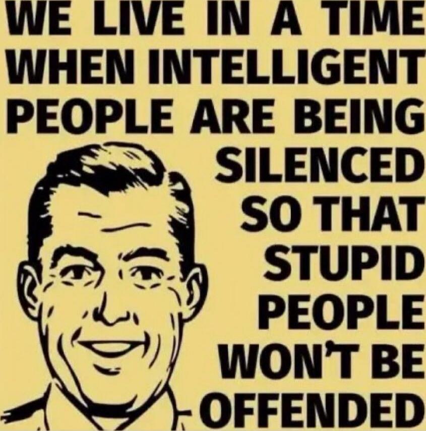 WE LIVE IN A TIME WHEN INTELLIGENT PEOPLE ARE BEING SILENCED SO THAT STUPID PEOPLE WON'T BE OFFENDED