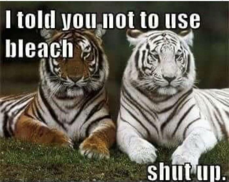 I told you not to use bleach shut up.