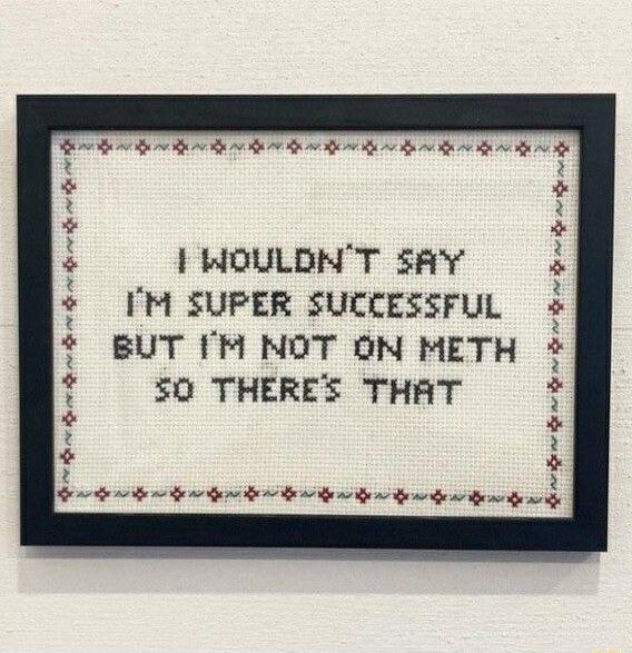 I WOULDN'T SAY I'M SUPER SUCCESSFUL BUT I'M NOT ON METH SO THERE'S THAT