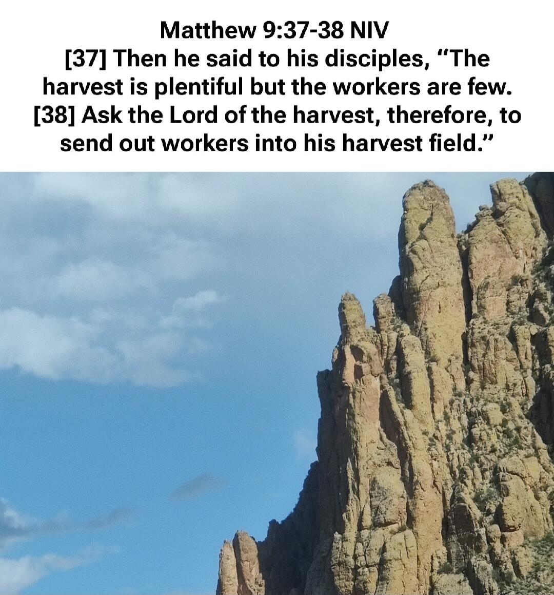 Matthew 9:37-38 NIV
[37] Then he said to his disciples, 