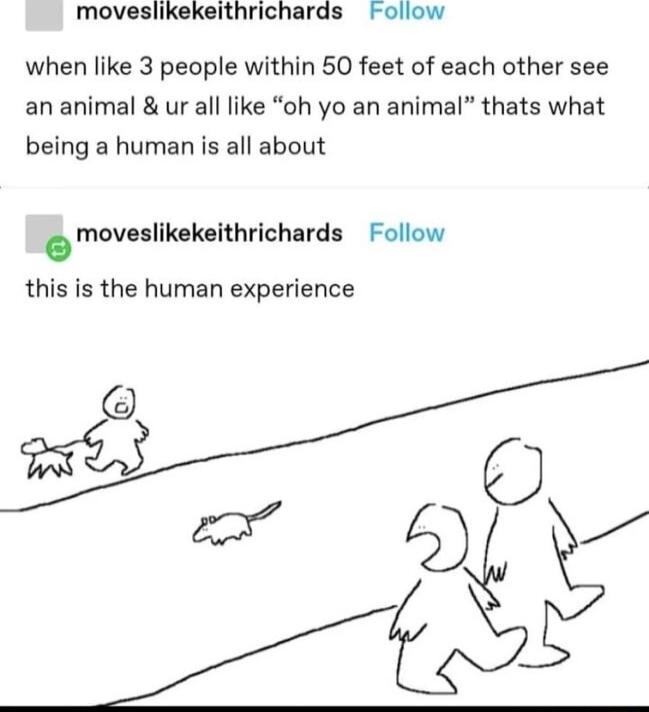 moveslikekeithrichards Follow when like 3 people within 50 feet of each other see an animal ur all like oh yo an animal thats what being a human is all about moveliktkeithvichards Follow this is the human experience x9S 5 L