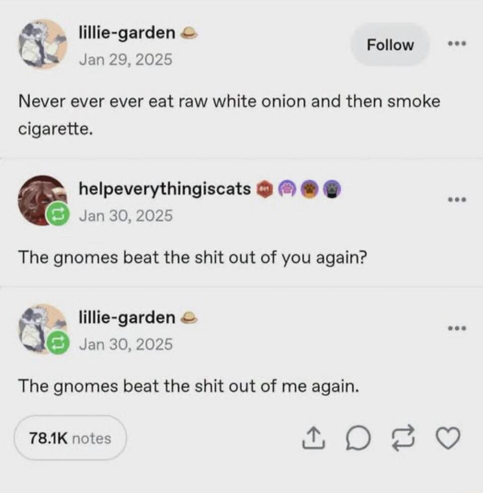 Never ever ever eat raw white onion and then smoke cigarette. The gnomes beat the shit out of you again? The gnomes beat the shit out of me again.