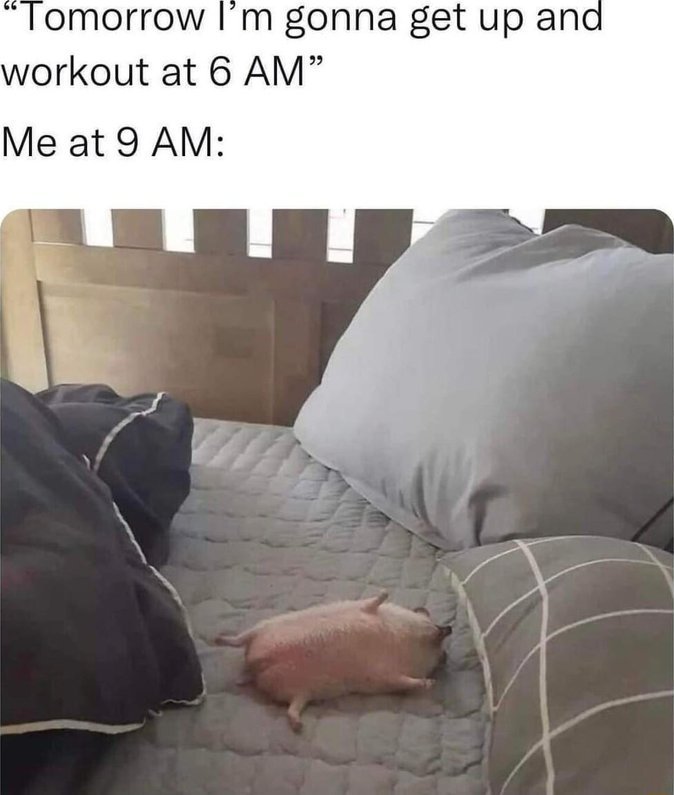 omorrow Im gonna get up and workout at 6 AM Me at 9 AM