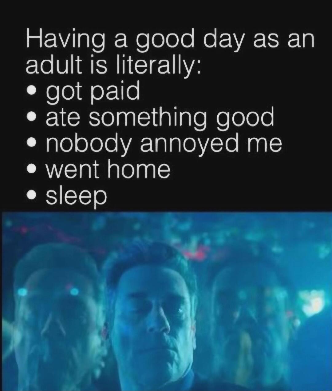 Having a good day as an adult is literally: got paid, ate something good, nobody annoyed me, went home, sleep.