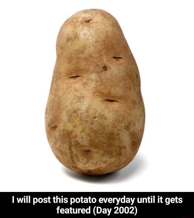 1 will post this potato everyday unf featured Day 2002 B