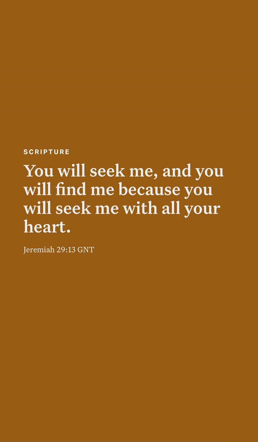 SCRIPTURE
You will seek me, and you will find me because you will seek me with all your heart.
Jeremiah 29:13 GNT