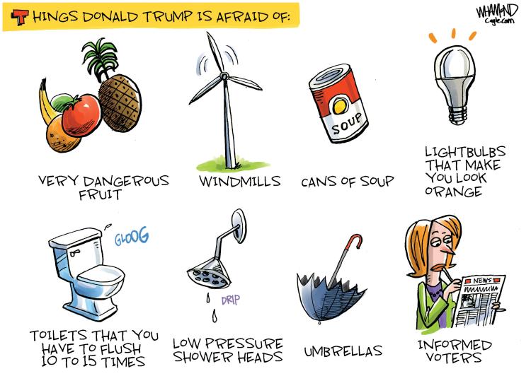 L L4 X LIGHTBULBS THAT MAKE VERY DANGEROUS WINDMILLS cANS 0F Soup YU Look FRUIT ORANGE TOILETS THAT You HAVE To FLUSH LOW PRESSURE UMBRELLAS INFORMED 10To B TIvES SHOWER HEADS VOTERS