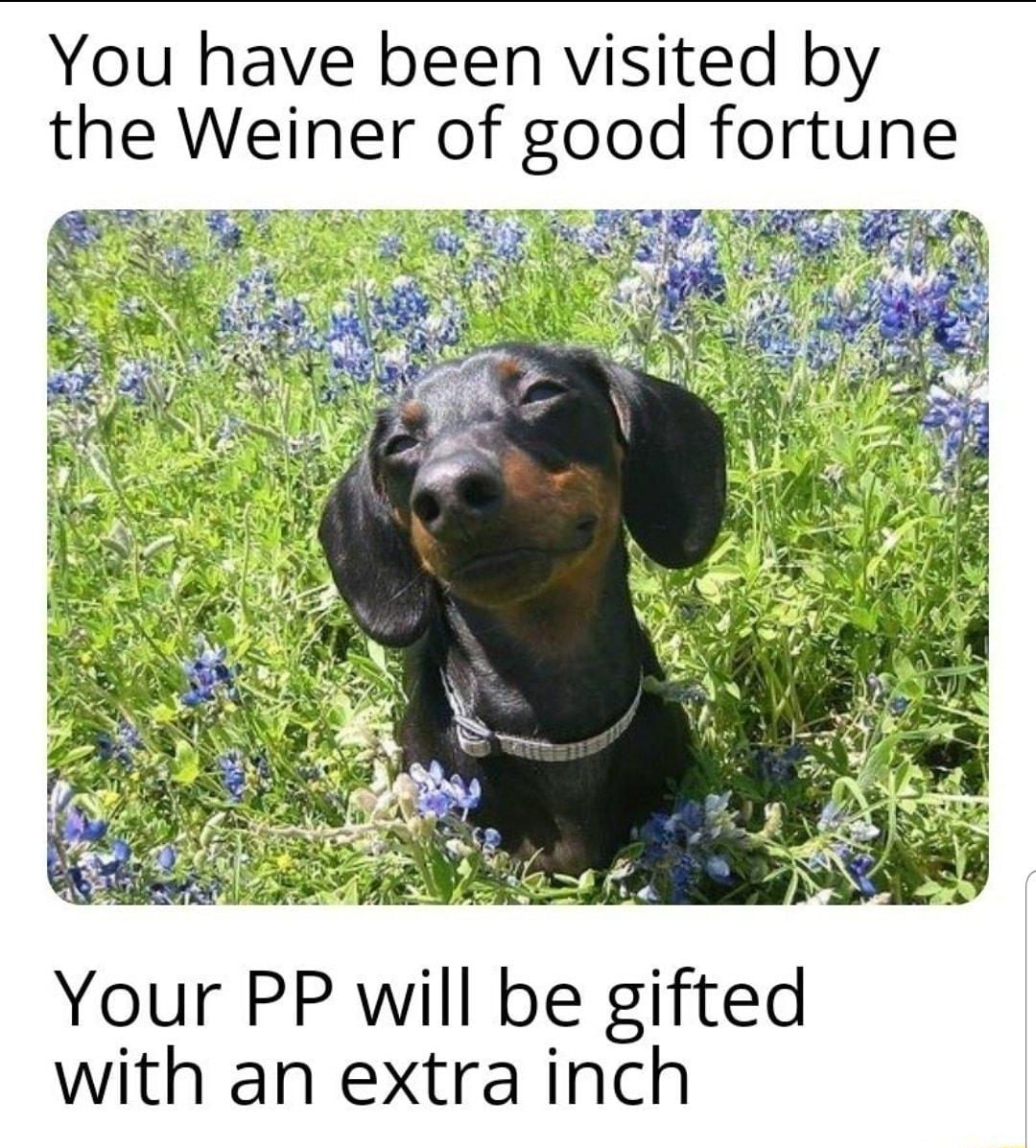 You have been visited by Your PP will be gifted with an extra inch
