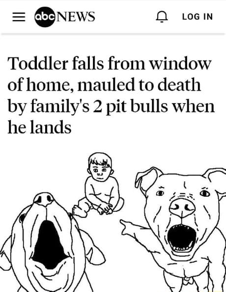 NEws O e Toddler falls from window of home mauled to death by familys 2 pit bulls when he lands