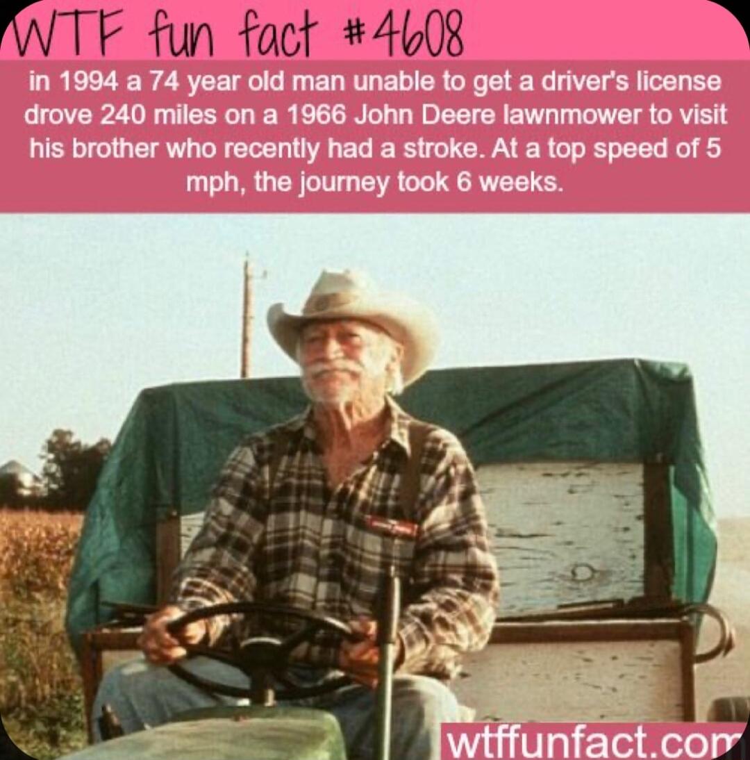 IWTF fun fact 4608 2
