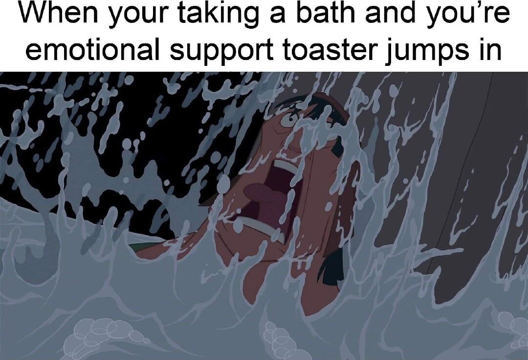 When your taking a bath and youre emotional support toaster jumps in