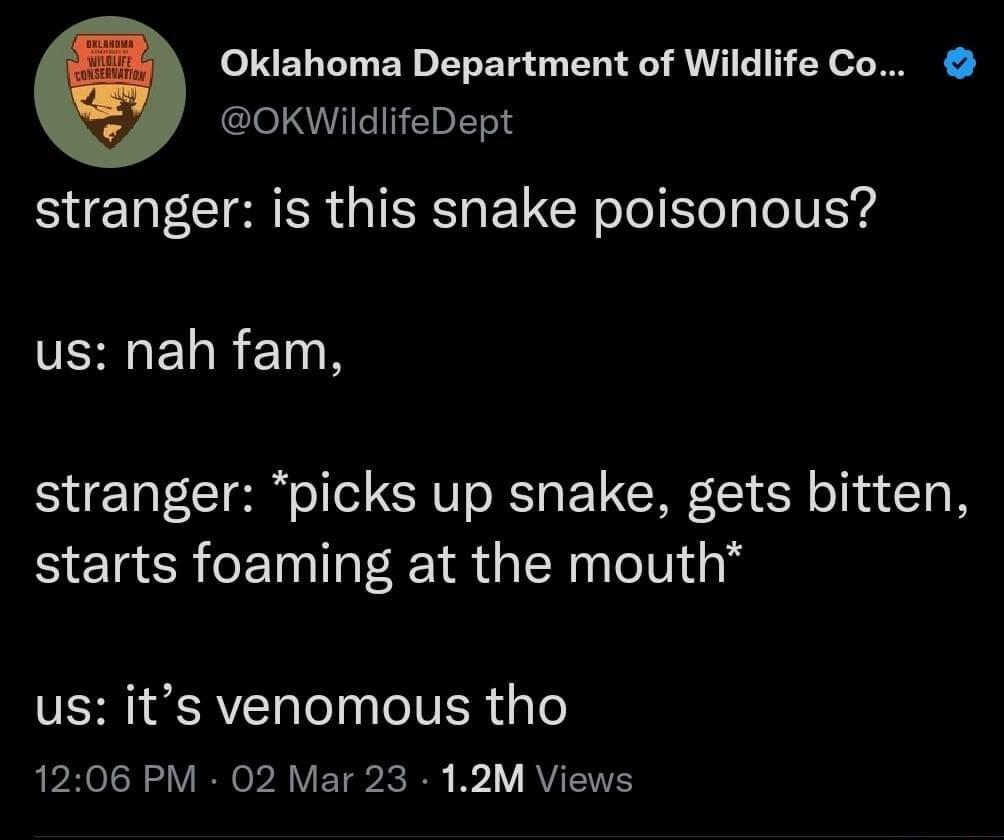 oNEL LT ER o ELEY T ER S QNI T EY o N clel WUIEIHERER stranger is this snake poisonous UEHELREINN stranger picks up snake gets bitten starts foaming at the mouth VN RV ol o VER igTe RPO R VIR A VETS I K1 Y RVETTE