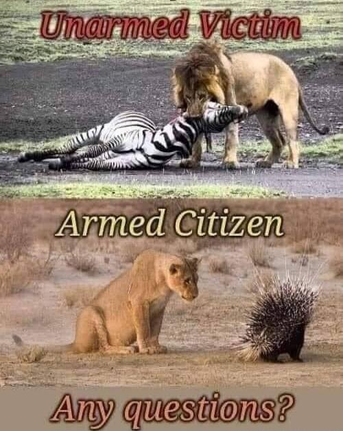 Unarmed Victim
Armed Citizen
Any questions?