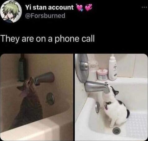 Yi stan account Z Forsburned They are on a phone call