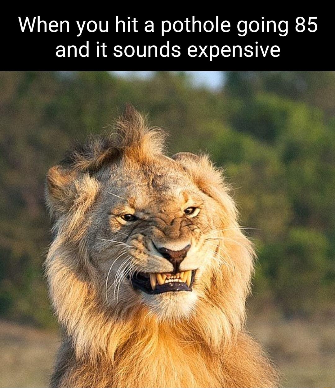 When you hit a pothole going 85 and it sounds expensive