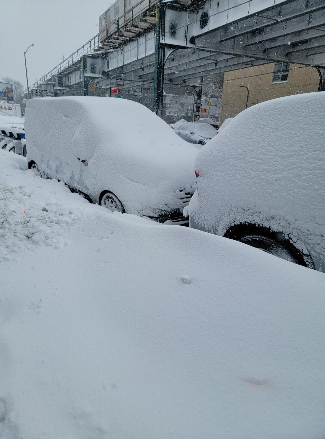 Cars covered in snow.