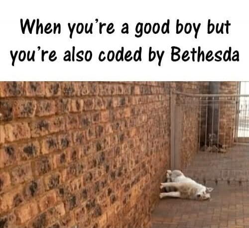 When you're a good boy but you're also coded by Bethesda