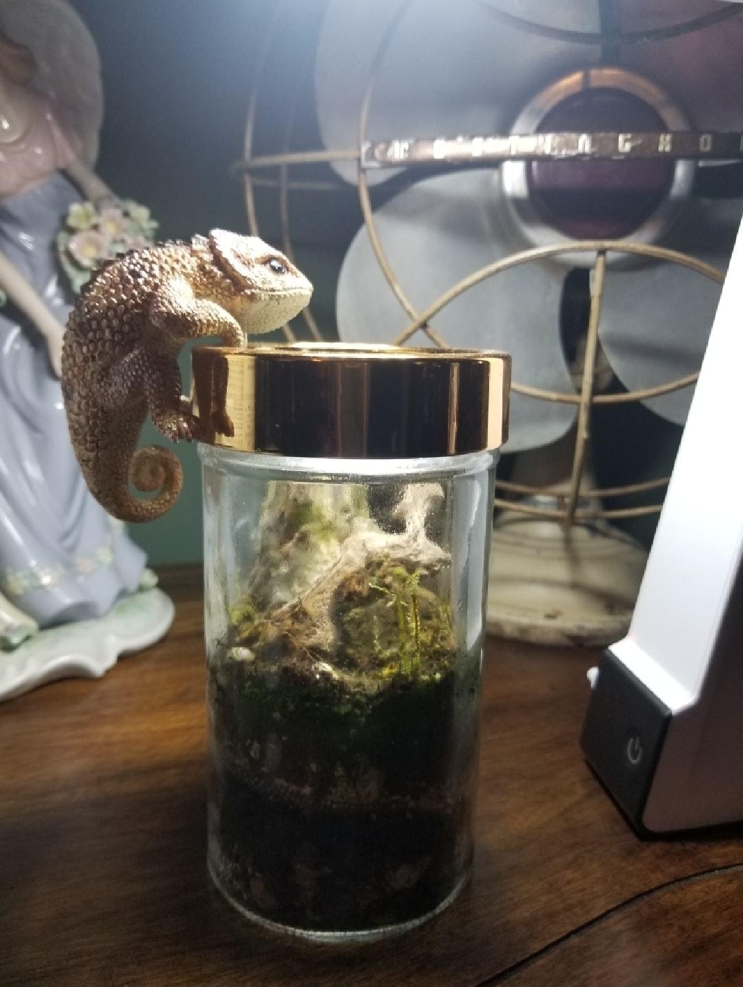 ElE Clih R i EUR VS RS selling terrariums The name is Decorrariums and will be posting more on this soon enough