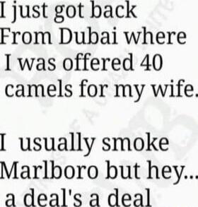 I just got back From Dubai where I was offered 40 camels for my wife. I usually smoke Marlboro but hey... a deal's a deal