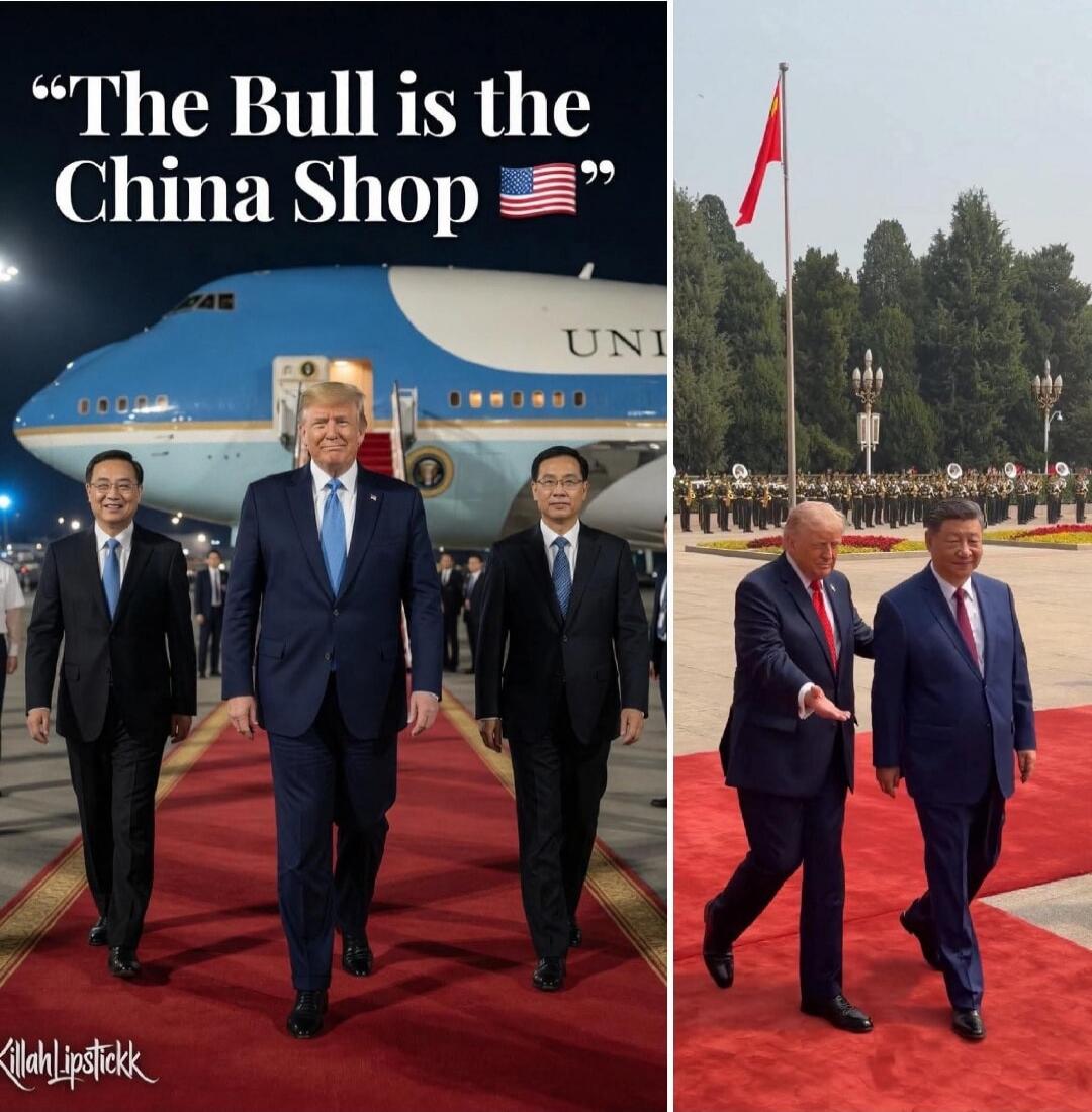 The Bull is the China Shop