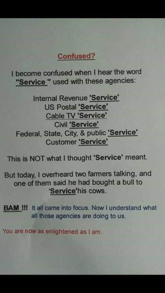 Confused become confused when hear the word Service used with these agencies Intemal Revenue Service US Postal Service Cable TV Service Civil Service Federal State City public Service Customer Service This is NOT what thought Service meant But today overheard two farmers talking and one of them said he had bought a bull to Servicehis cows BAM it all came into focus Now understand what all those ag