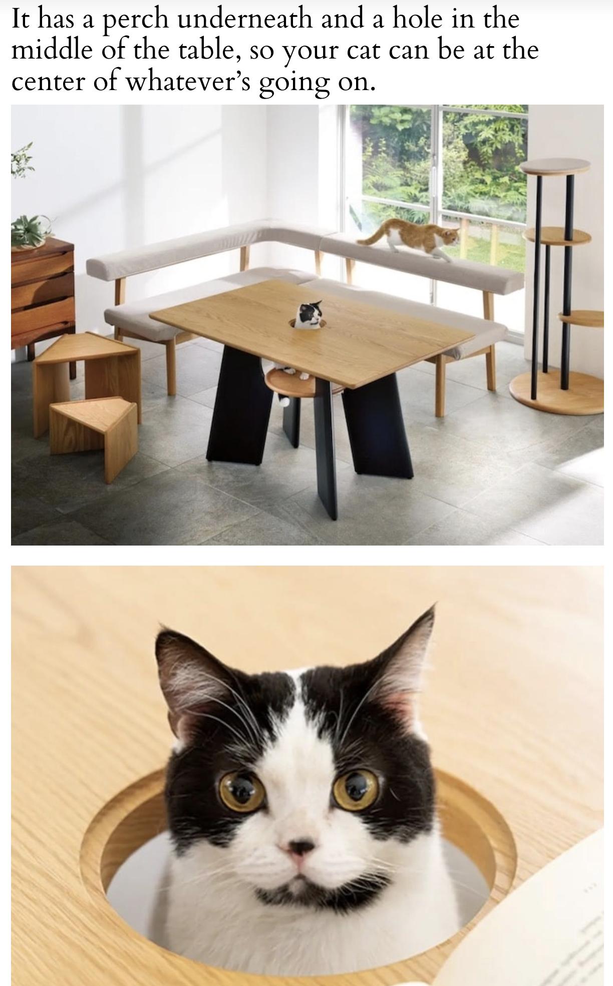 It has a perch underneath and a hole in the middle of the table so your cat can be at the center of whatevers going on