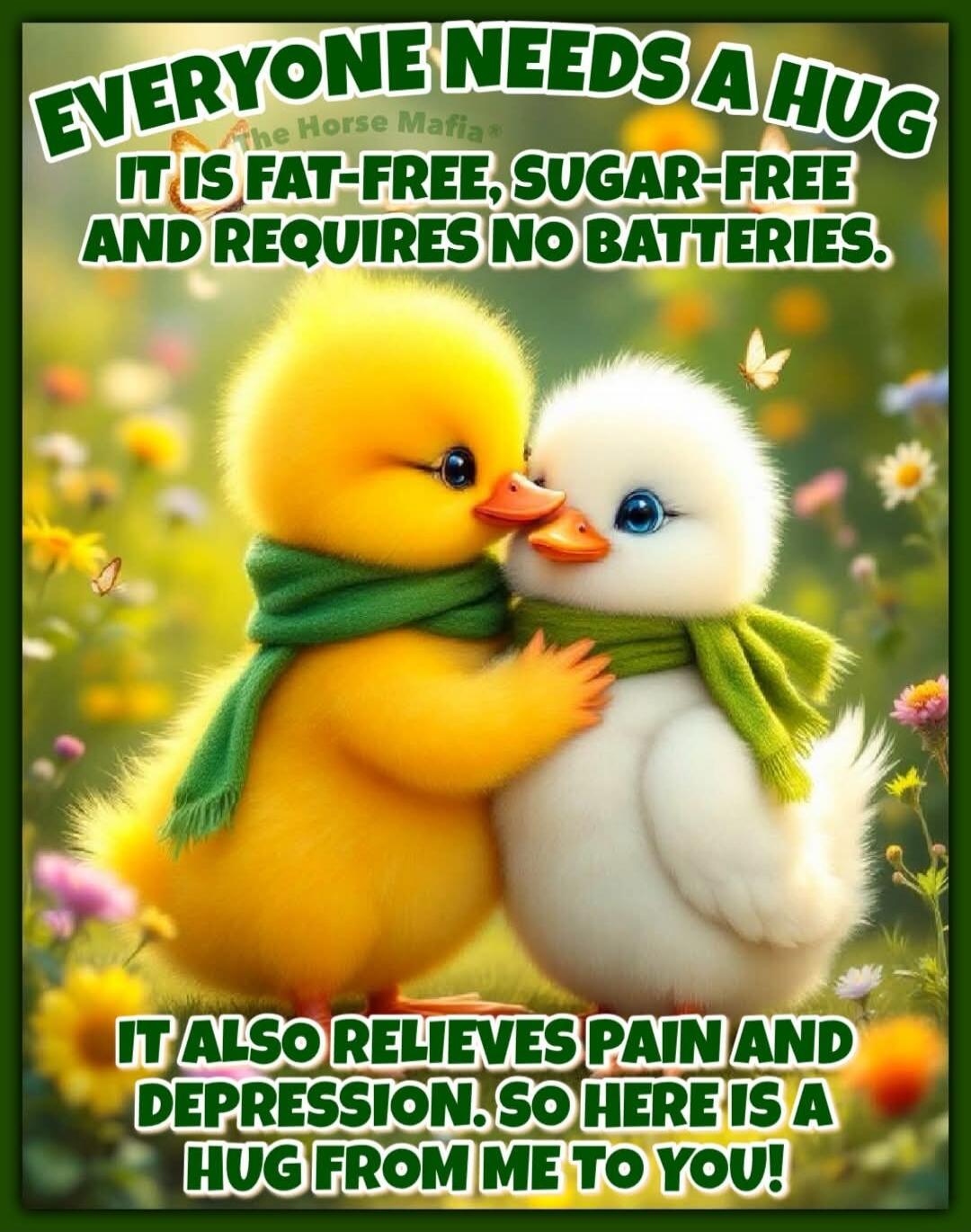 EVERYONE NEEDS A HUG The Horse Mafia IT IS FAT-FREE, SUGAR-FREE AND REQUIRES NO BATTERIES. IT ALSO RELIEVES PAIN AND DEPRESSION. SO HERE IS A HUG FROM ME TO YOU!