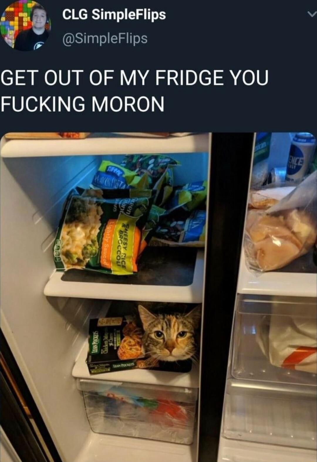 Pt CLG SimpleFlips N P SimpleFlips GET OUT OF MY FRIDGE YOU FUCKING MORON
