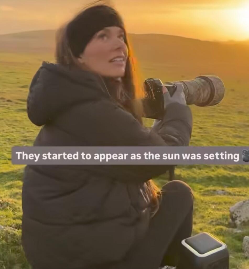 They started to appear as the sun was setting