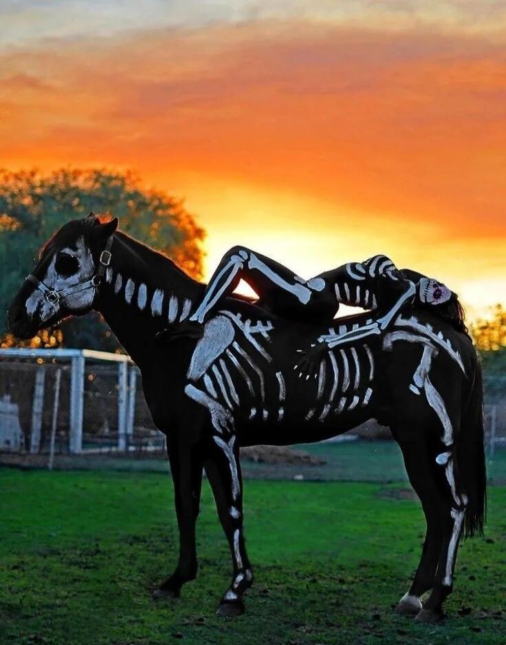 A person painted as a skeleton is lying on a horse, also painted as a skeleton. The background shows a sunset with orange and yellow hues.