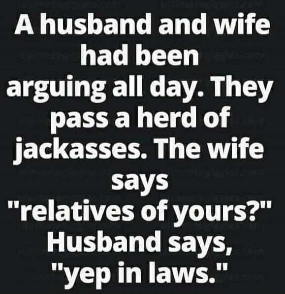 A husband and wife had been arguing all day. They pass a herd of jackasses. The wife says 'relatives of yours?' Husband says, 'yep in laws.'