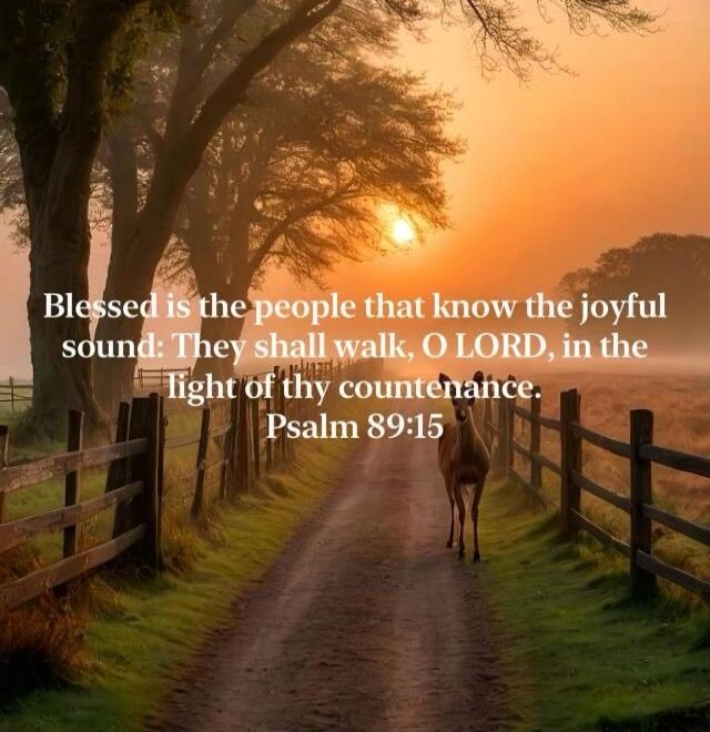 Blessed is the people that know the joyful sound: They shall walk, O LORD, in the light of thy countenance: Psalm 89:15