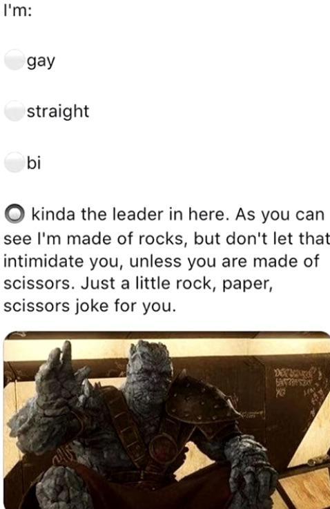 Im gay straight bi O kinda the leader in here As you can see Im made of rocks but dont let that intimidate you unless you are made of scissors Just a little rock paper scissors joke for you