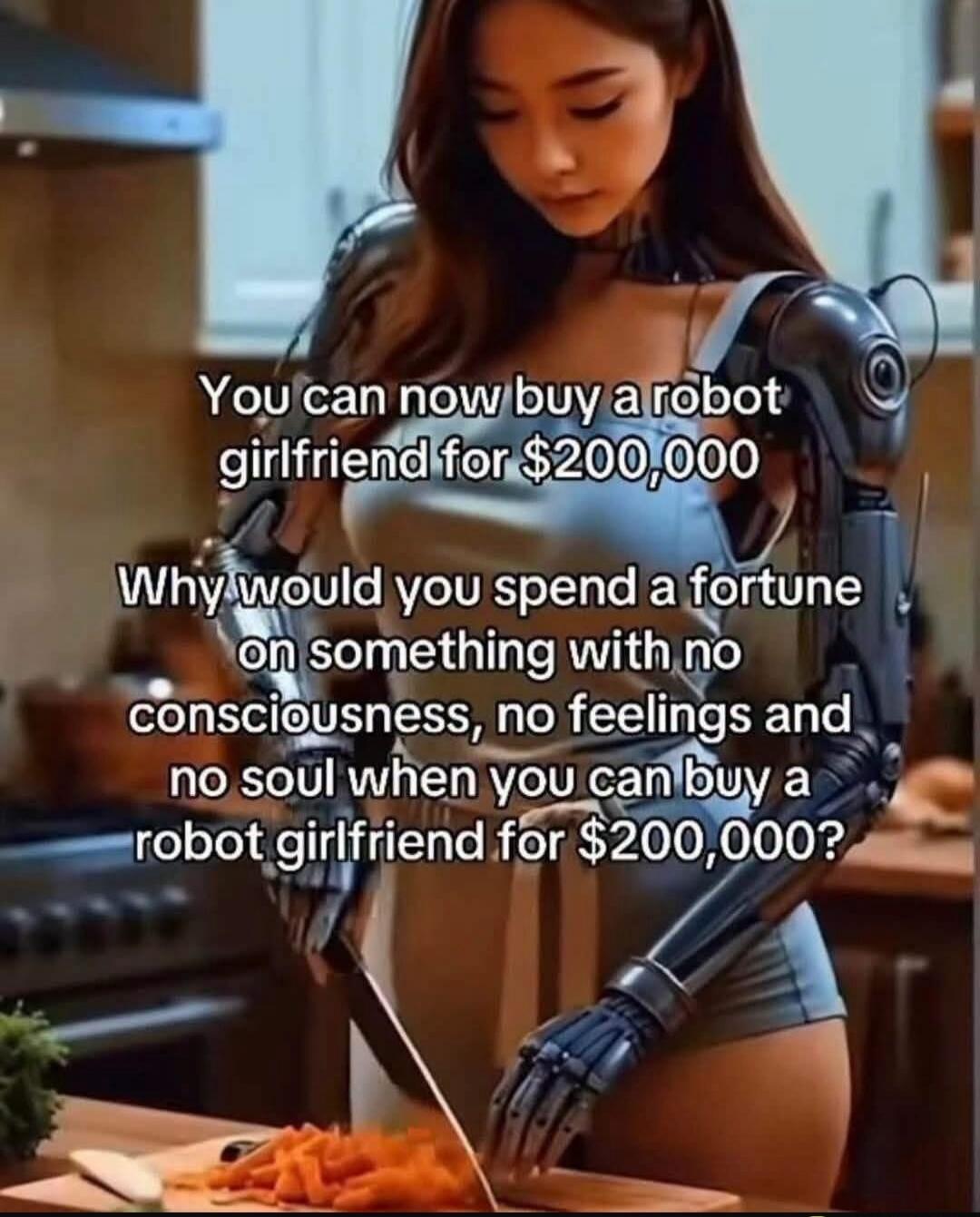 You can now buy a robot girlfriend for $200,000. Why would you spend a fortune on something with no consciousness, no feelings and no soul when you can buy a robot girlfriend for $200,000?