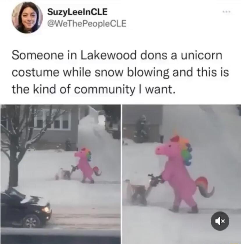SuzylLeeInCLE WeThePeopleCLE Someone in Lakewood dons a unicorn costume while snow blowing and this is the kind of community want