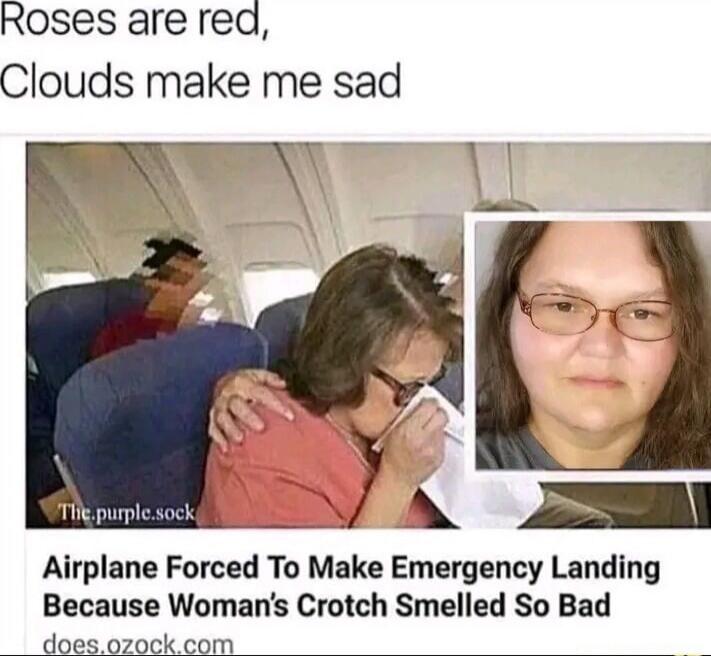 Roses are red,
Clouds make me sad
Airplane Forced To Make Emergency Landing Because Woman's Crotch Smelled So Bad