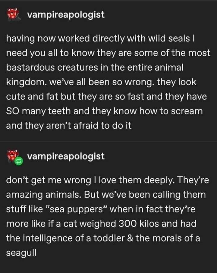vampireapologist having now worked directly with wild seals CITe VoIV B ol g oVA L IR T Kol No i W a g o114 bastardous creatures in the entire animal aleleeg g MANVIERVIR 1 W o ToTT g RETo RN do aTo M s TSR oo1 cute and fat but they are so fast and they have SION 4 ETaA Gl ke Talo R TLWVA NG l VA s o VA e RTol E Tgg ETa e RaTEET T am l 1 o i oXe o N W VEL I JICET ofe es E34 dont get me wrong love 