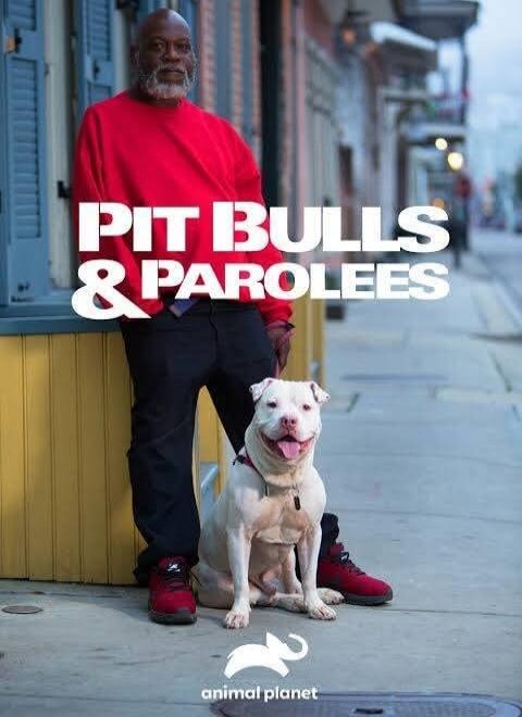 PIT BULLS & PAROLEES animal planet