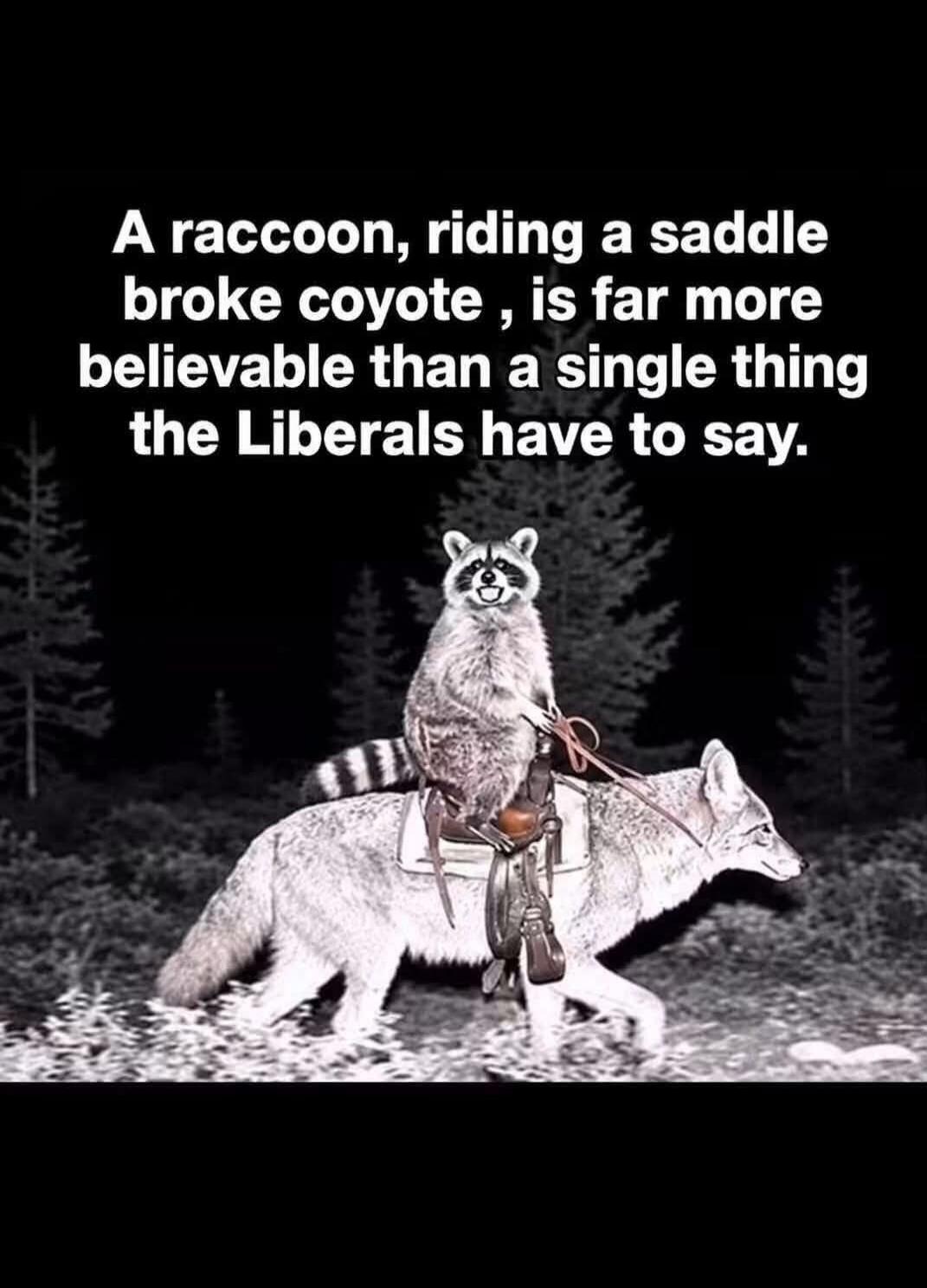 A raccoon, riding a saddle broke coyote, is far more believable than a single thing the Liberals have to say.