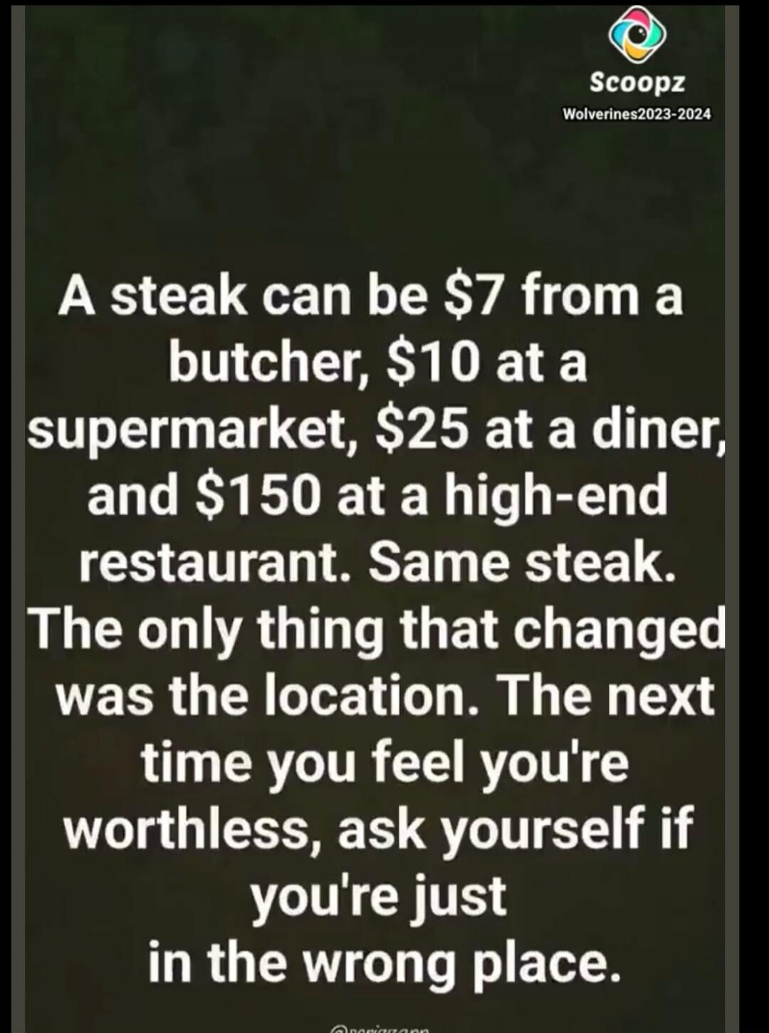 A steak can be $7 from a butcher, $10 at a supermarket, $25 at a diner, and $150 at a high-end restaurant. Same steak. The only thing that changed was the location. The next time you feel you're worthless, ask yourself if you're just in the wrong place.