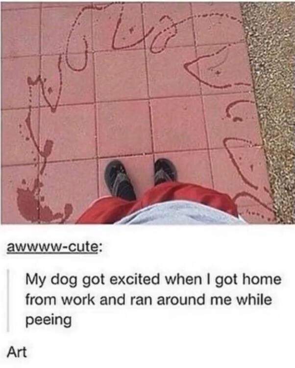 My dog got excited when got home from work and ran around me while peeing Art