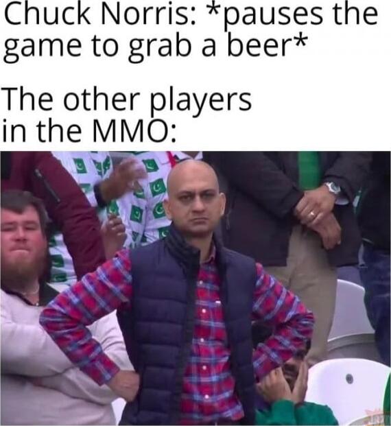 Chuck Norris pauses the game to grab a beer The other players in the MMO