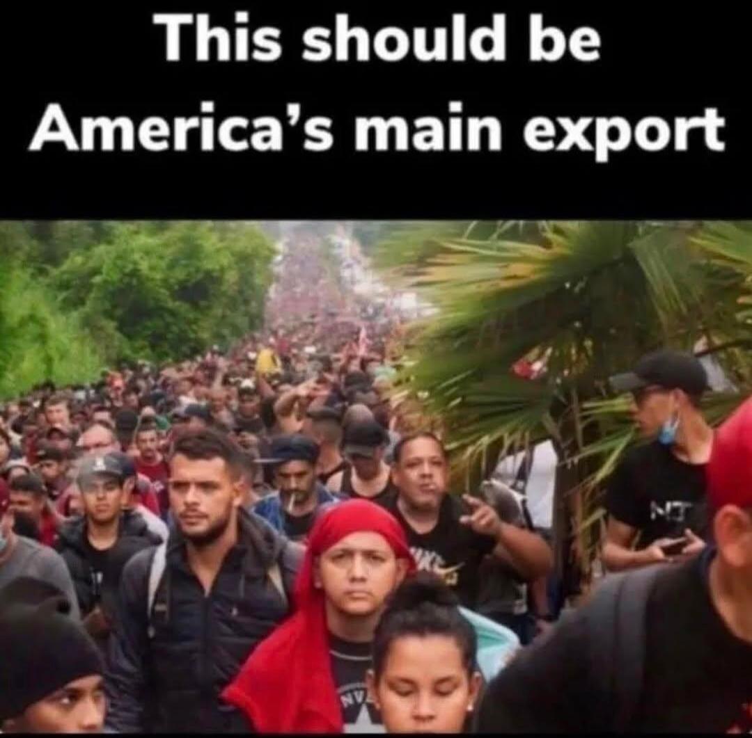 This should be America's main export