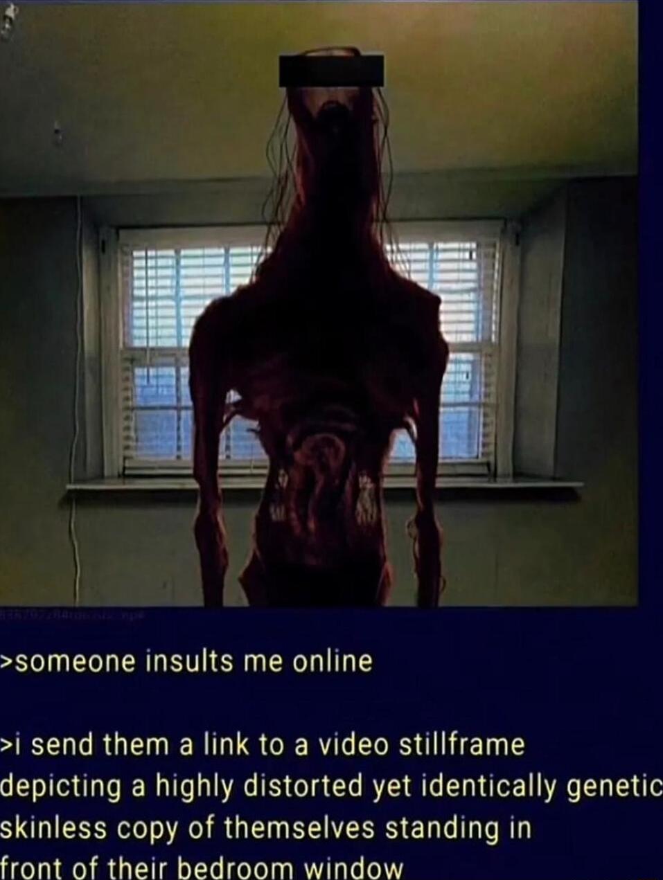 someone insults me online i send them a link to a video stillframe depicting a highly distorted yet identically genetic skinless copy of themselves standing in front of their bedroom window